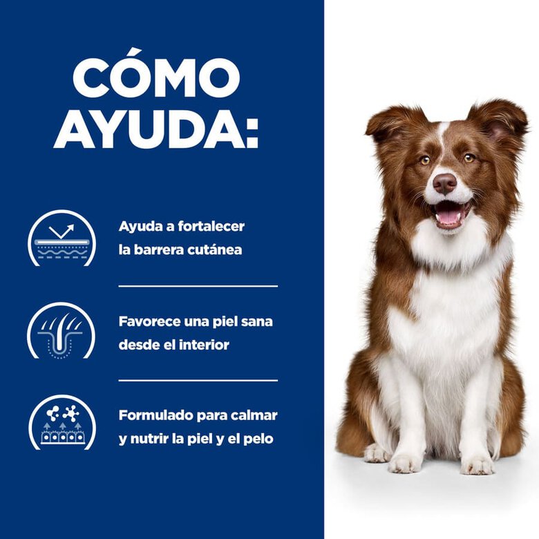 Hill's Prescription Diet Derm Defense Pollo pienso perro, , large image number null